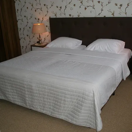 Hotel Excelsior Haag