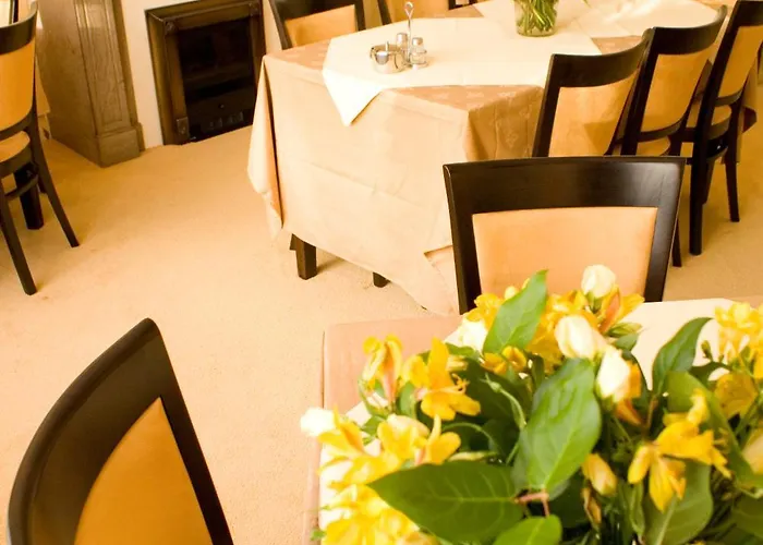 Excelsior لاهاي